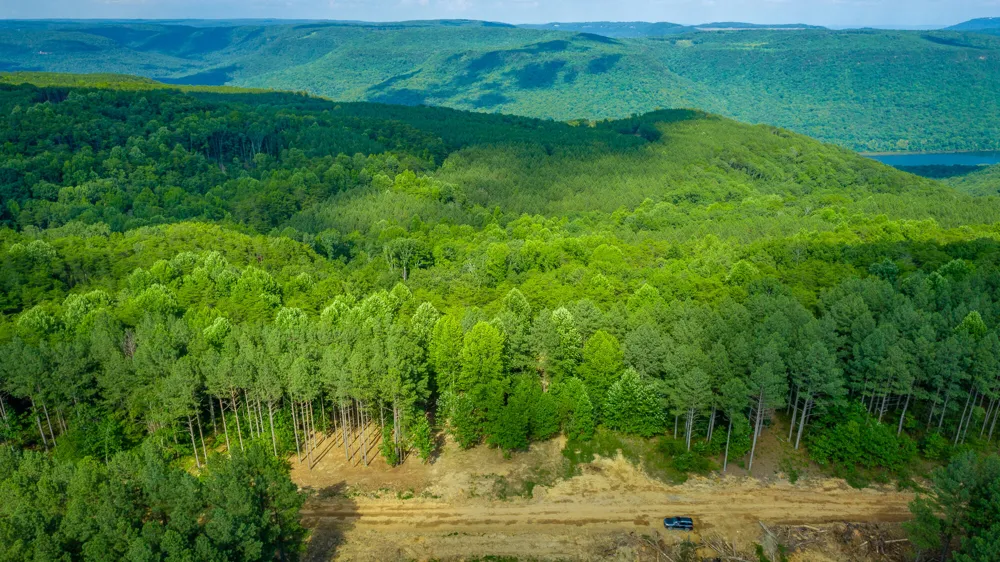 2222 High Ground Road Guild, TN 37340