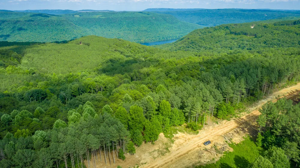 2222 High Ground Road Guild, TN 37340