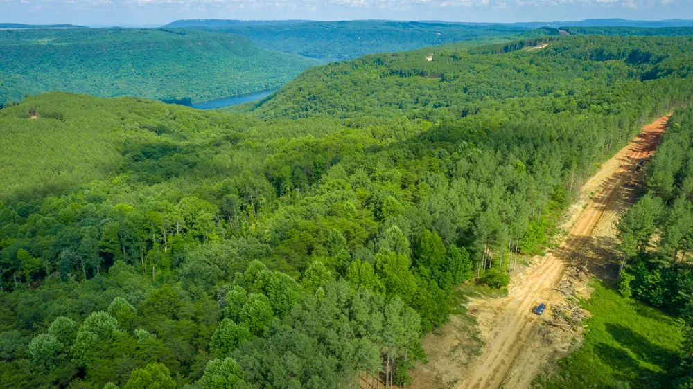 2222 High Ground Road Guild, TN 37340