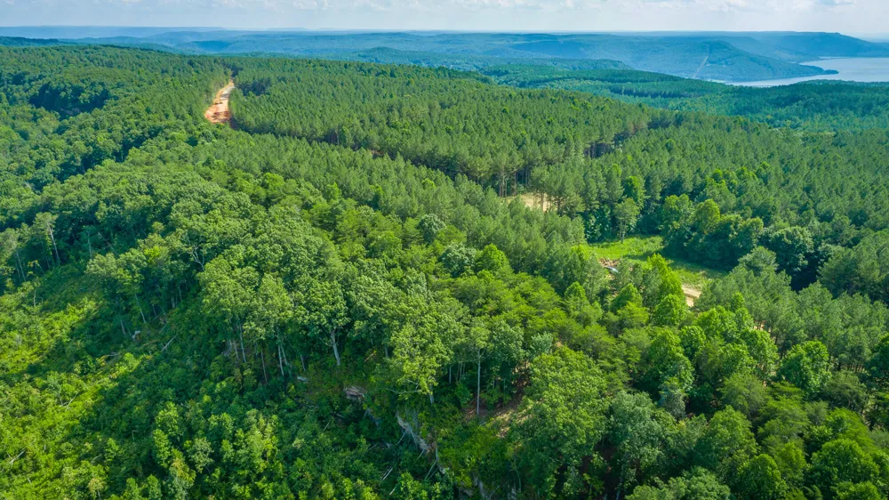 2222 High Ground Road Guild, TN 37340