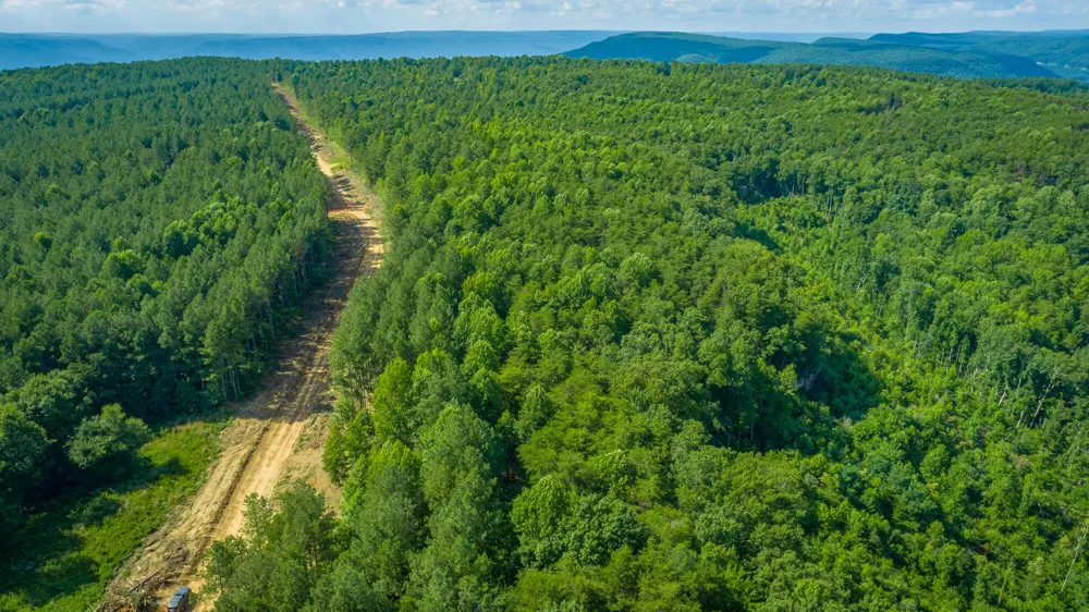 2222 High Ground Road Guild, TN 37340