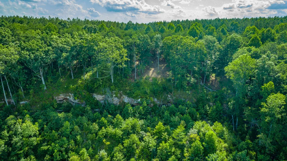 2222 High Ground Road Guild, TN 37340