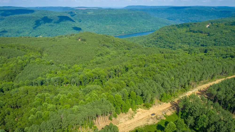 2222 High Ground Road Guild, TN 37340