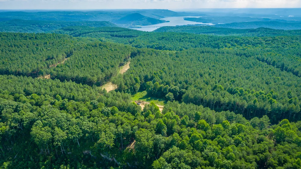 2222 High Ground Road Guild, TN 37340