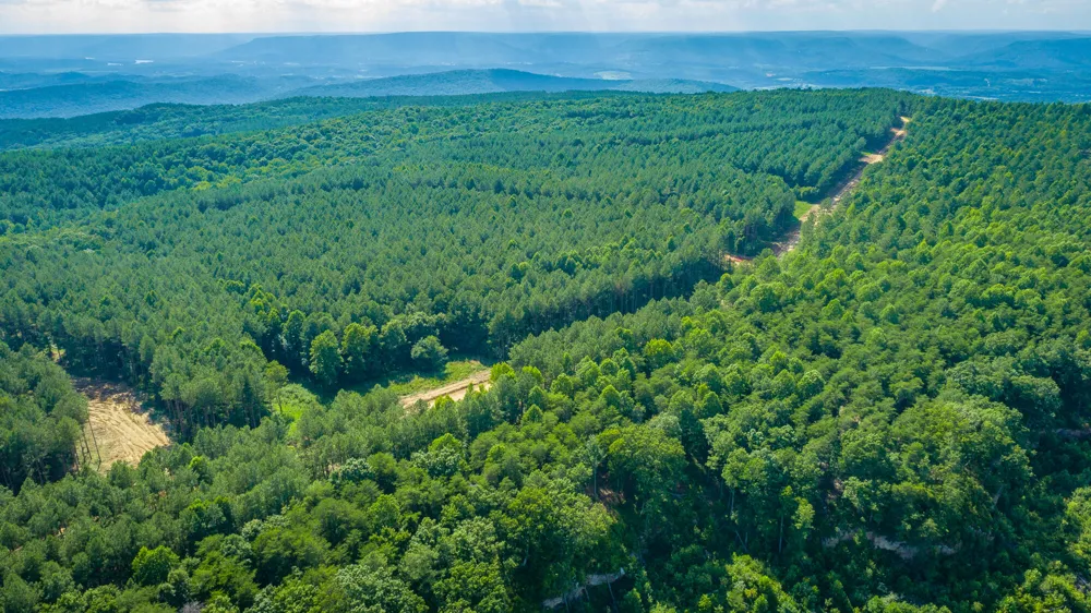 2222 High Ground Road Guild, TN 37340