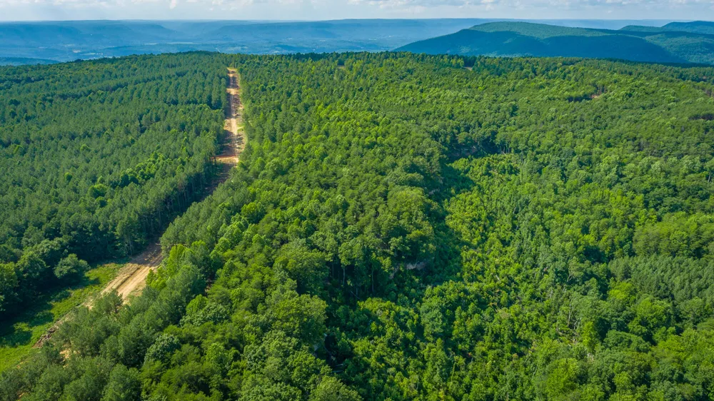 2222 High Ground Road Guild, TN 37340