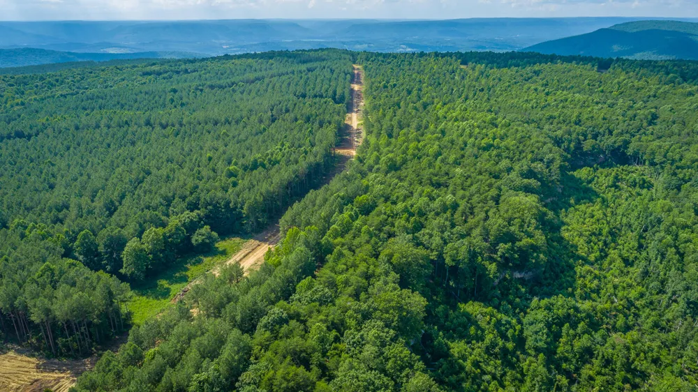 2222 High Ground Road Guild, TN 37340