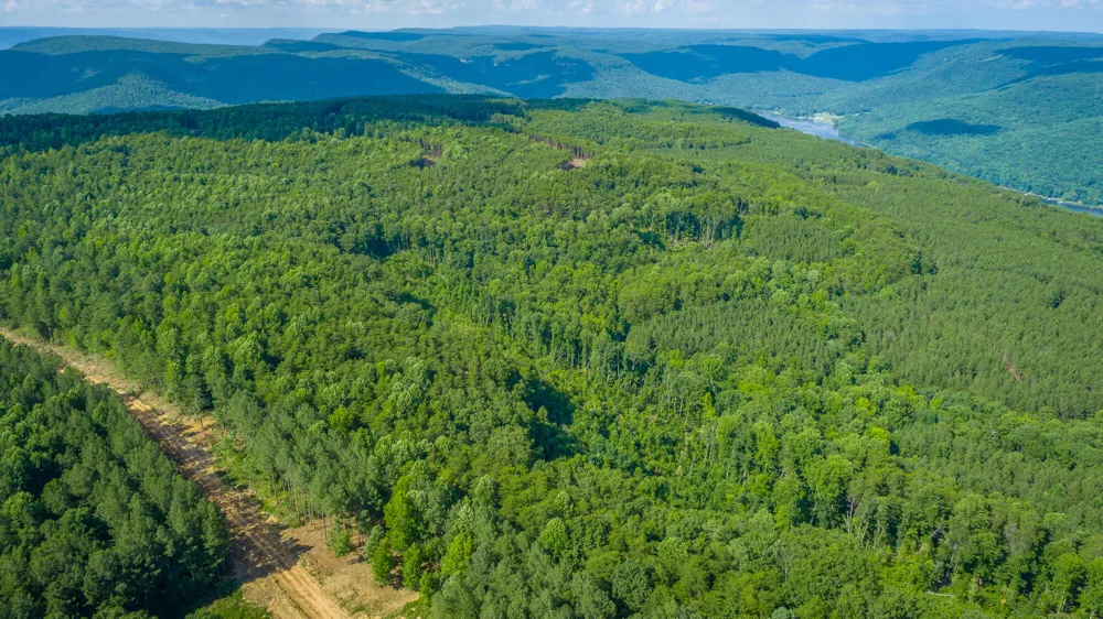 2222 High Ground Road Guild, TN 37340