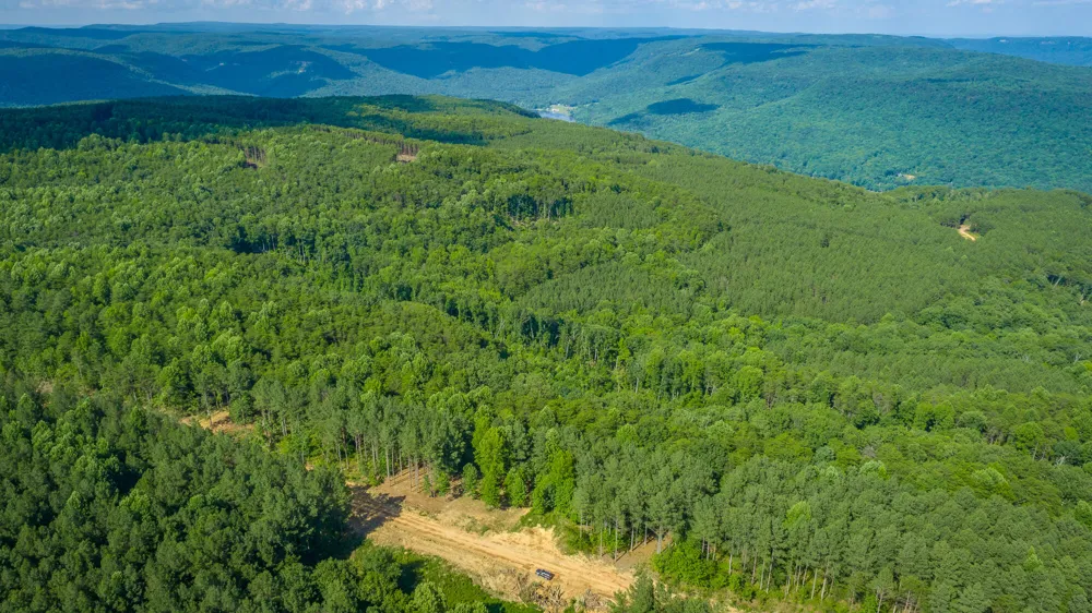 2222 High Ground Road Guild, TN 37340