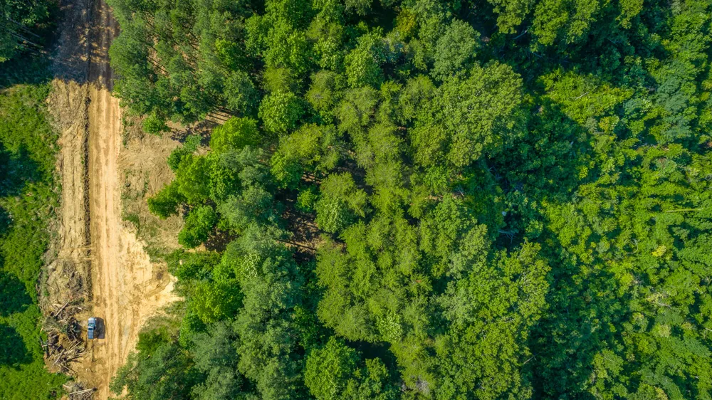 2222 High Ground Road Guild, TN 37340
