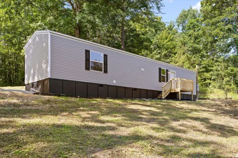 319 Scratch Ankle Road