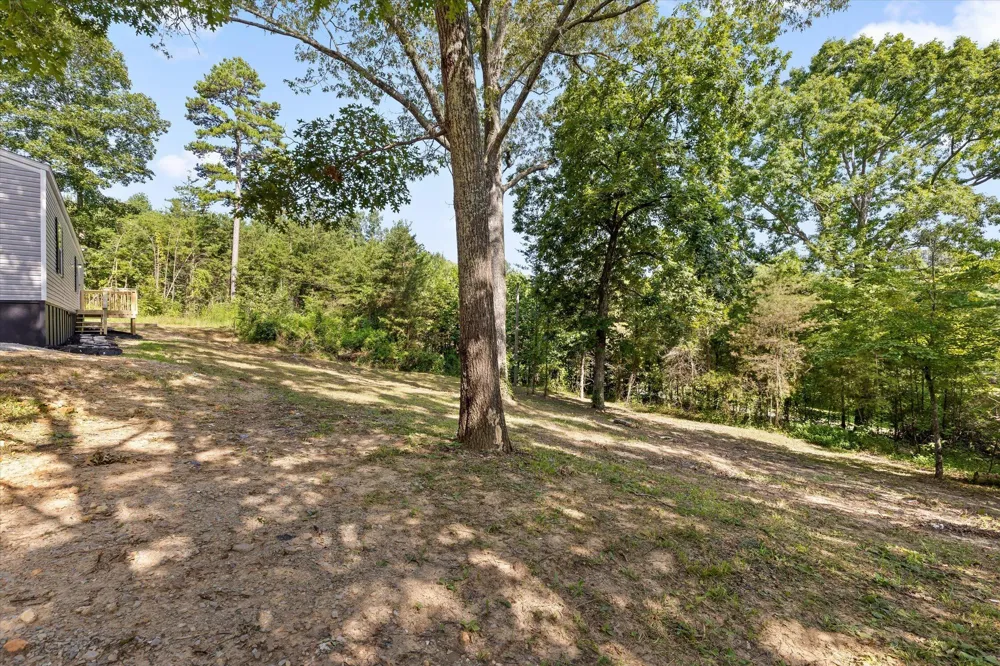 319 Scratch Ankle Road Trenton, GA 30752