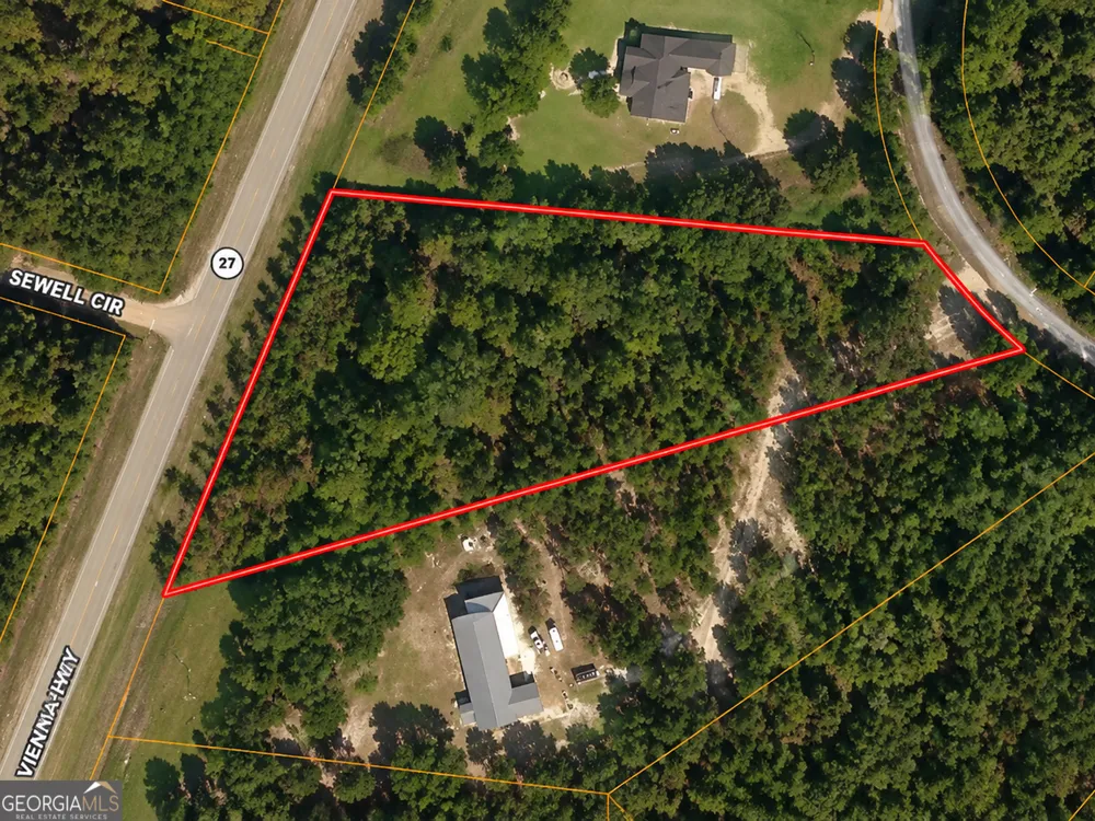 2.7 ACRES Flamingo EST Hawkinsville, GA 31036