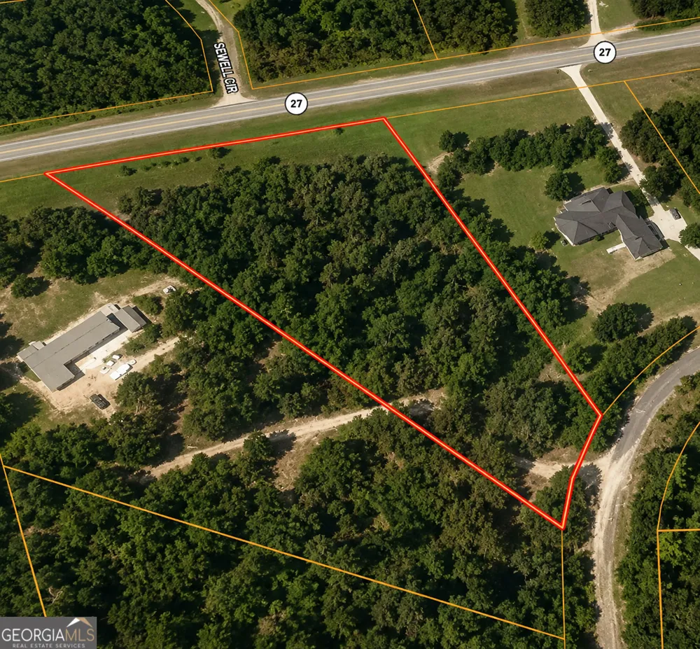 2.7 ACRES Flamingo EST Hawkinsville, GA 31036
