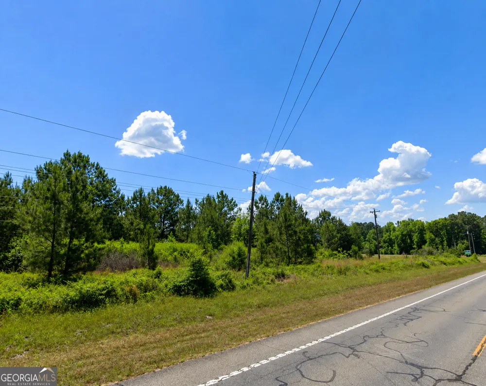 2.7 ACRES Flamingo EST Hawkinsville, GA 31036
