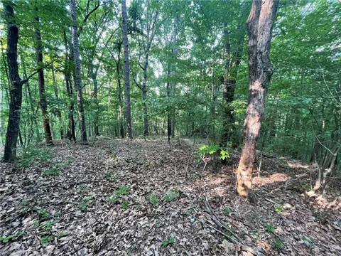 860 Cloudland Trace