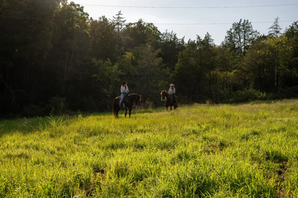 1489 Old Tva Rd Columbia, TN 38401