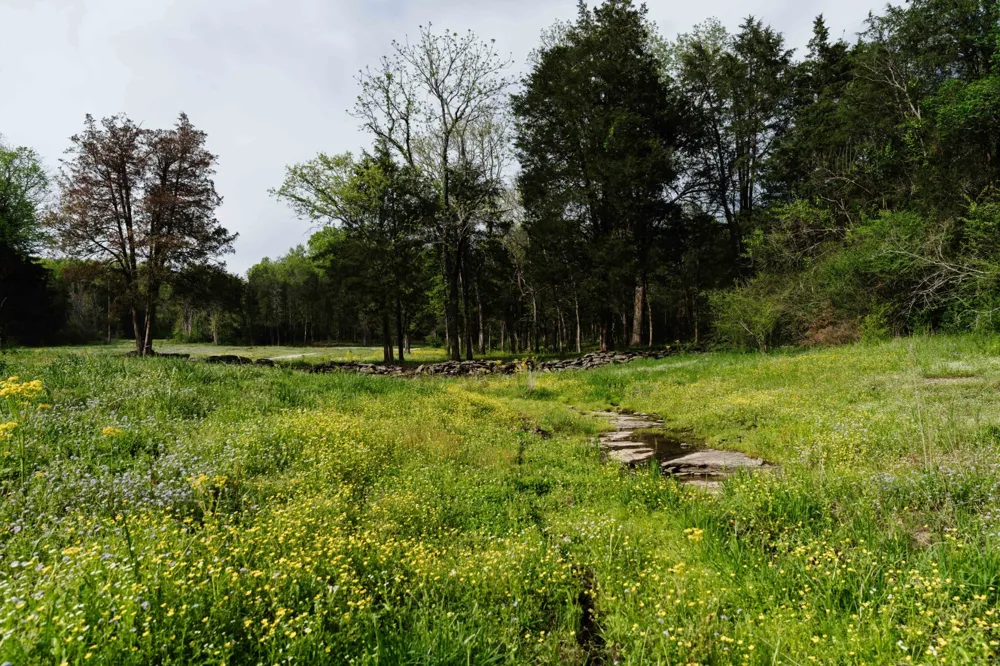1489 Old Tva Rd Columbia, TN 38401
