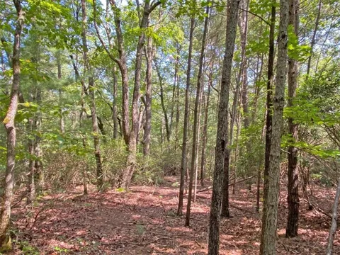 10.59 AC, T S Jarrard Road