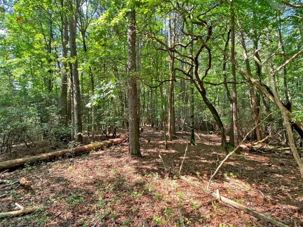 10.59 AC, T S Jarrard Road Dahlonega, GA 30533