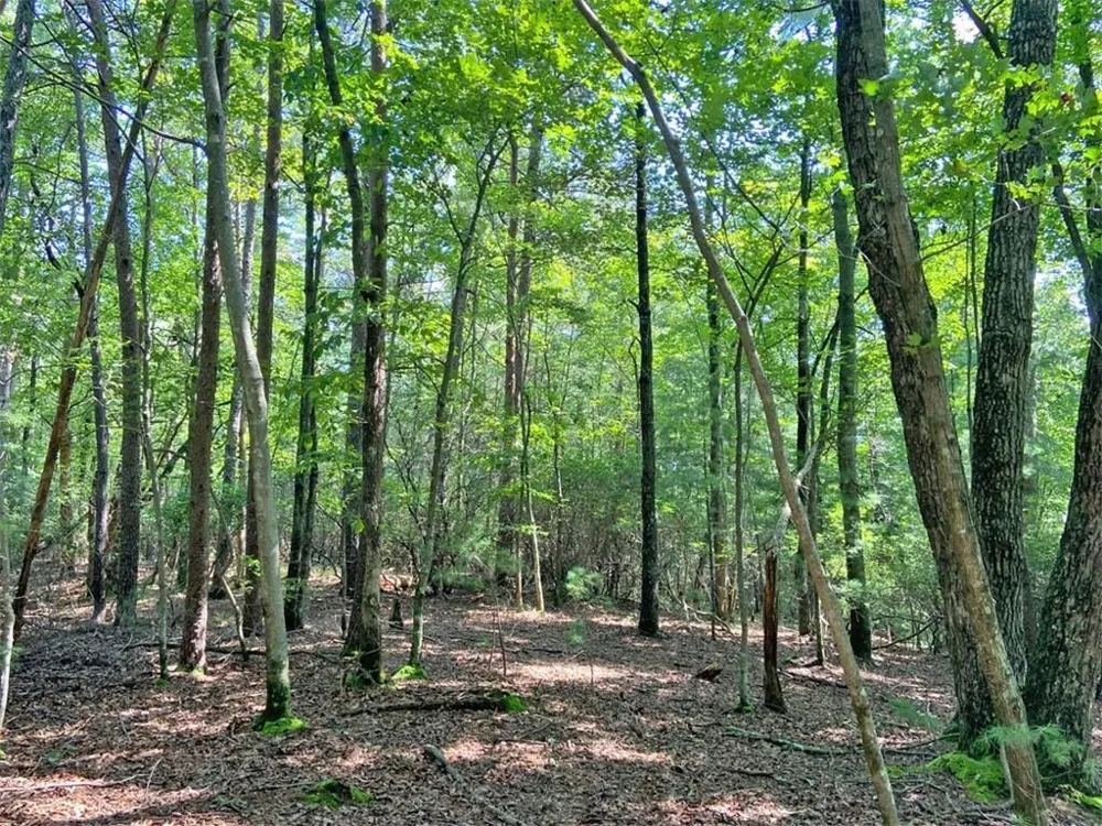10.59 AC, T S Jarrard Road Dahlonega, GA 30533