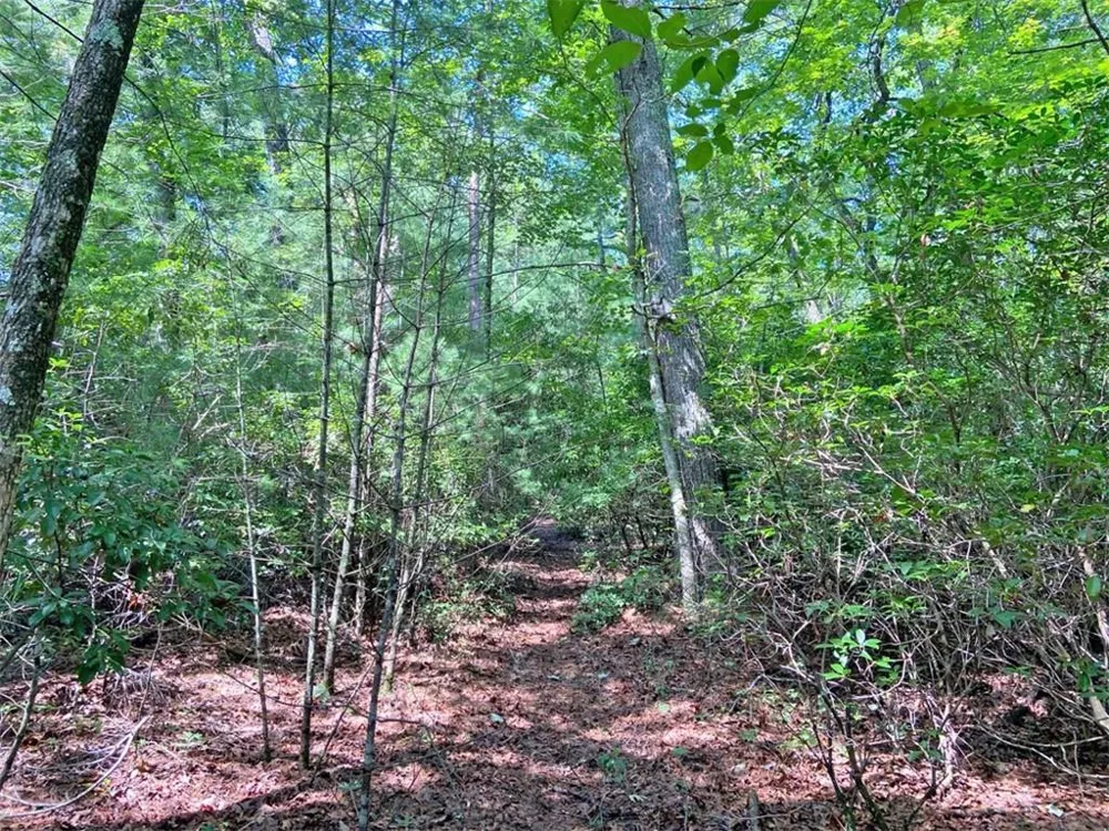 10.59 AC, T S Jarrard Road Dahlonega, GA 30533