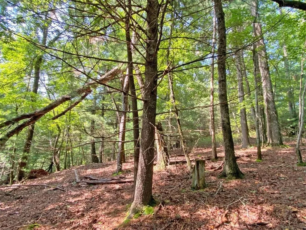 10.59 AC, T S Jarrard Road Dahlonega, GA 30533