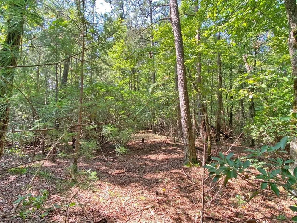 10.59 AC, T S Jarrard Road Dahlonega, GA 30533