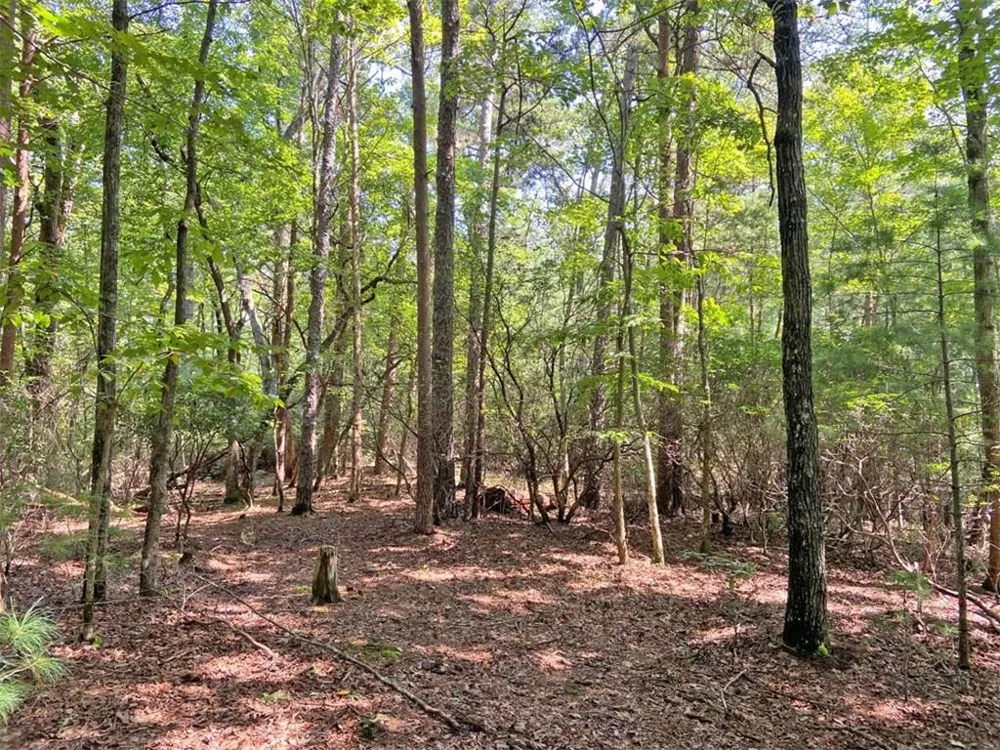 10.59 AC, T S Jarrard Road Dahlonega, GA 30533