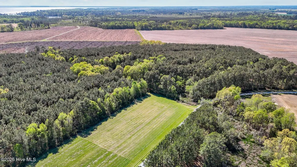 646 Creek Drive Belhaven, NC 27810