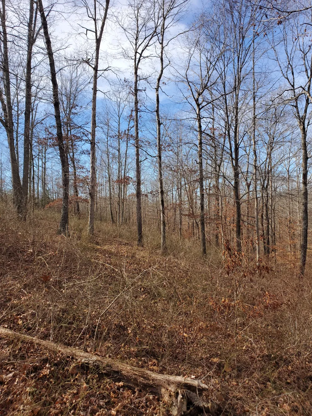 0 Hidden Highlands Ct Mc Ewen, TN 37101