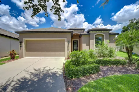 826 VINO VERDE CIRCLE