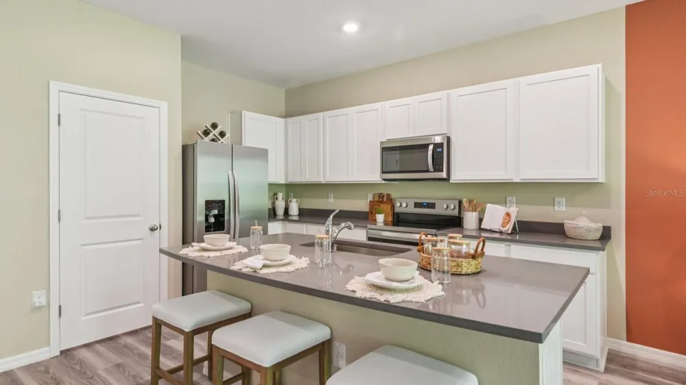 17330 SPANISH OAK LOOP Land O Lakes, FL 34638