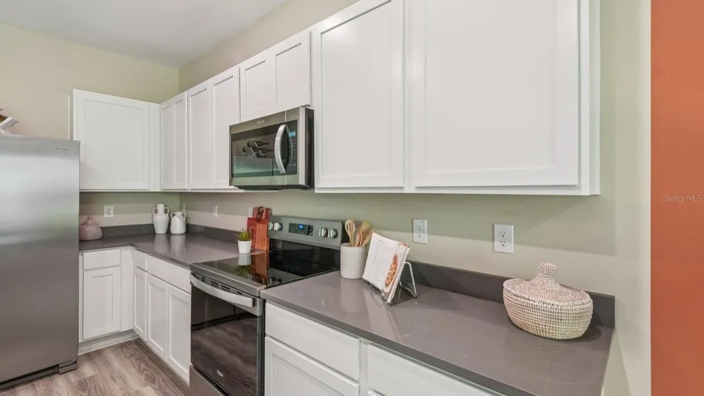 17330 SPANISH OAK LOOP Land O Lakes, FL 34638