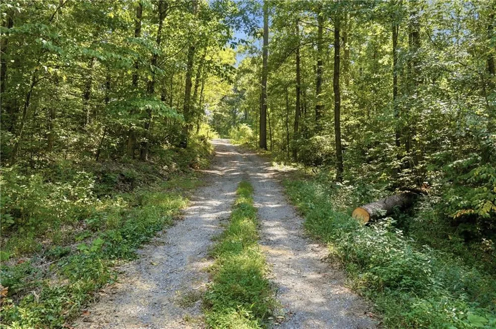 154 Silvers Road Chatsworth, GA 30705