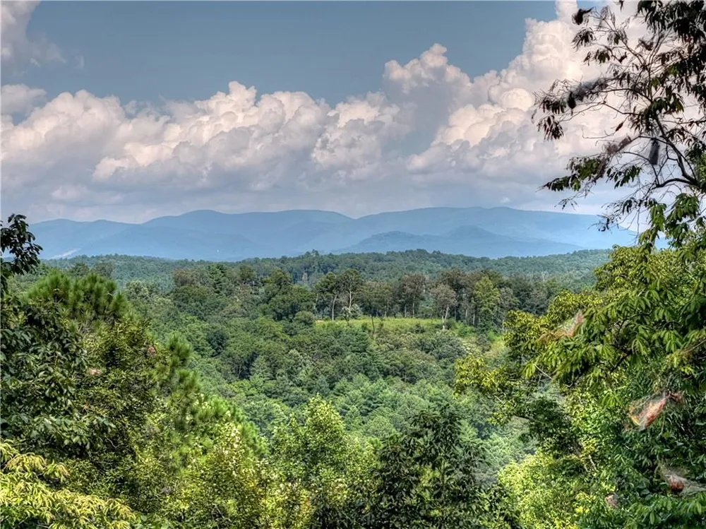 518 Mango Lane Ellijay, GA 30540