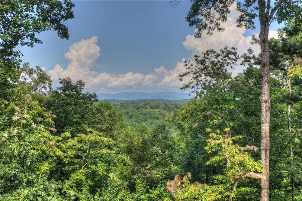 518 Mango Lane Ellijay, GA 30540