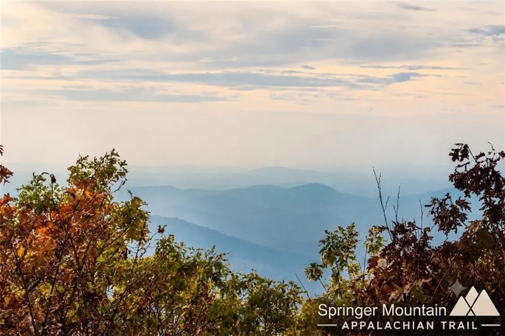 518 Mango Lane Ellijay, GA 30540