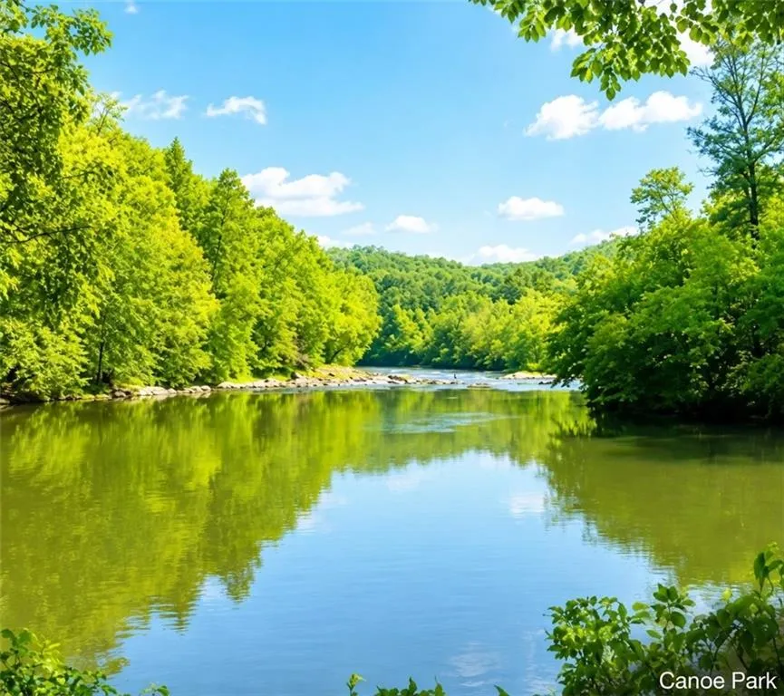 518 Mango Lane Ellijay, GA 30540