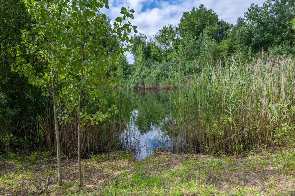 35322 72nd Street Covert, MI 49043