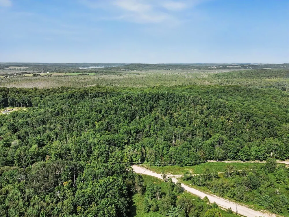 Padgett Road Boyne Falls, MI 49713