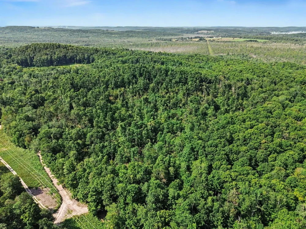 Padgett Road Boyne Falls, MI 49713