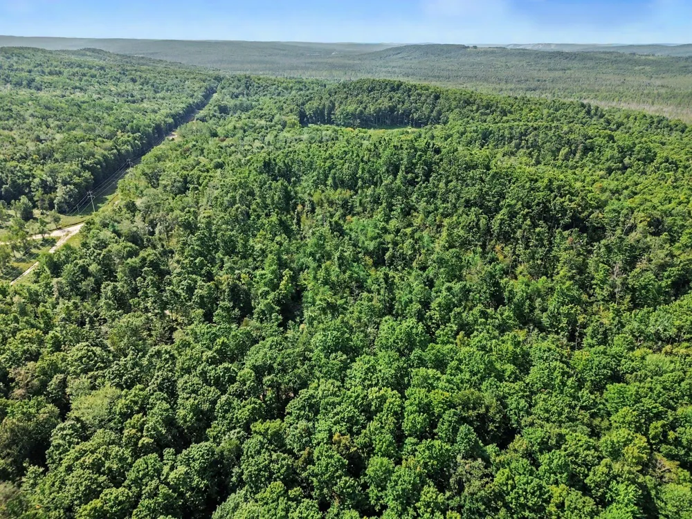 Padgett Road Boyne Falls, MI 49713