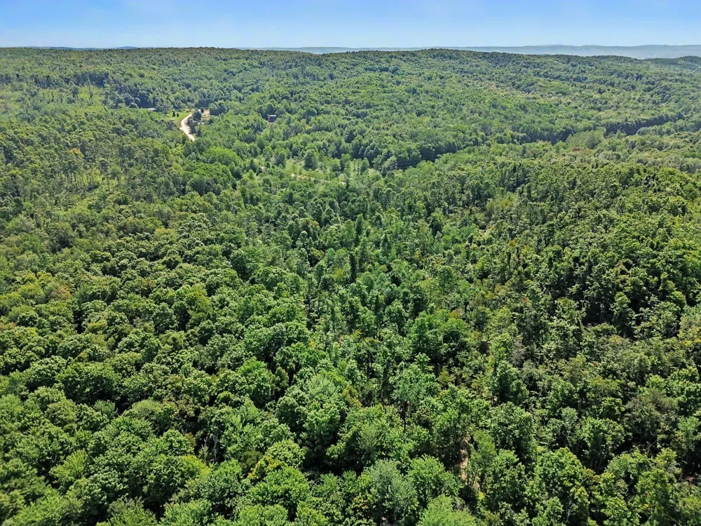 Padgett Road Boyne Falls, MI 49713