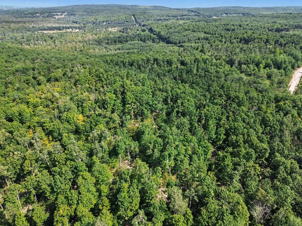 Padgett Road Boyne Falls, MI 49713
