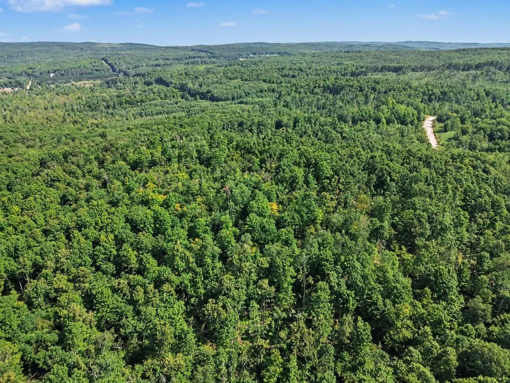 Padgett Road Boyne Falls, MI 49713
