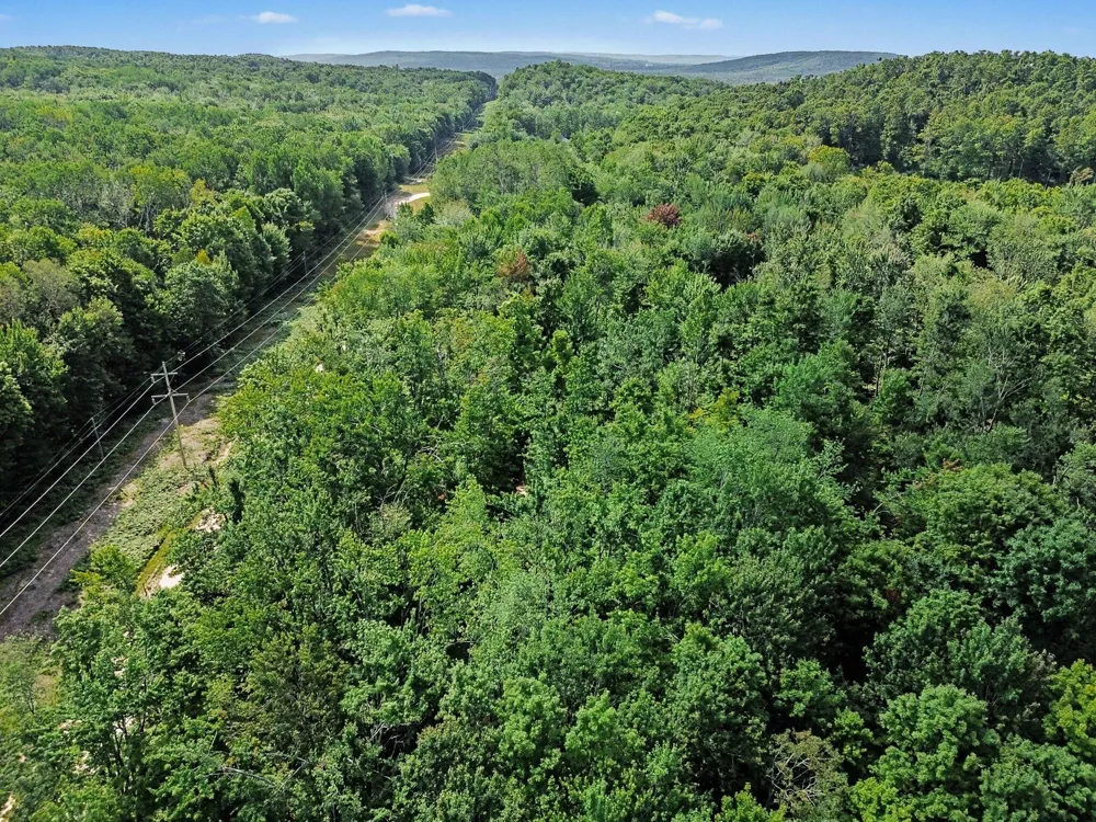 Padgett Road Boyne Falls, MI 49713