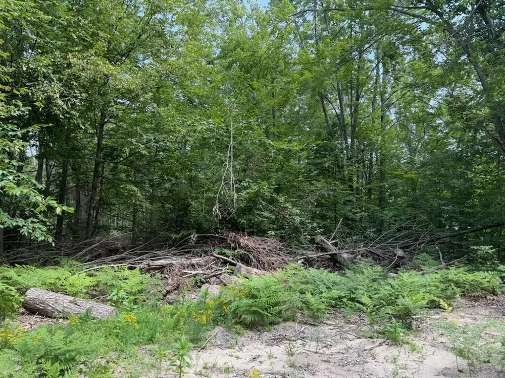 Padgett Road Boyne Falls, MI 49713
