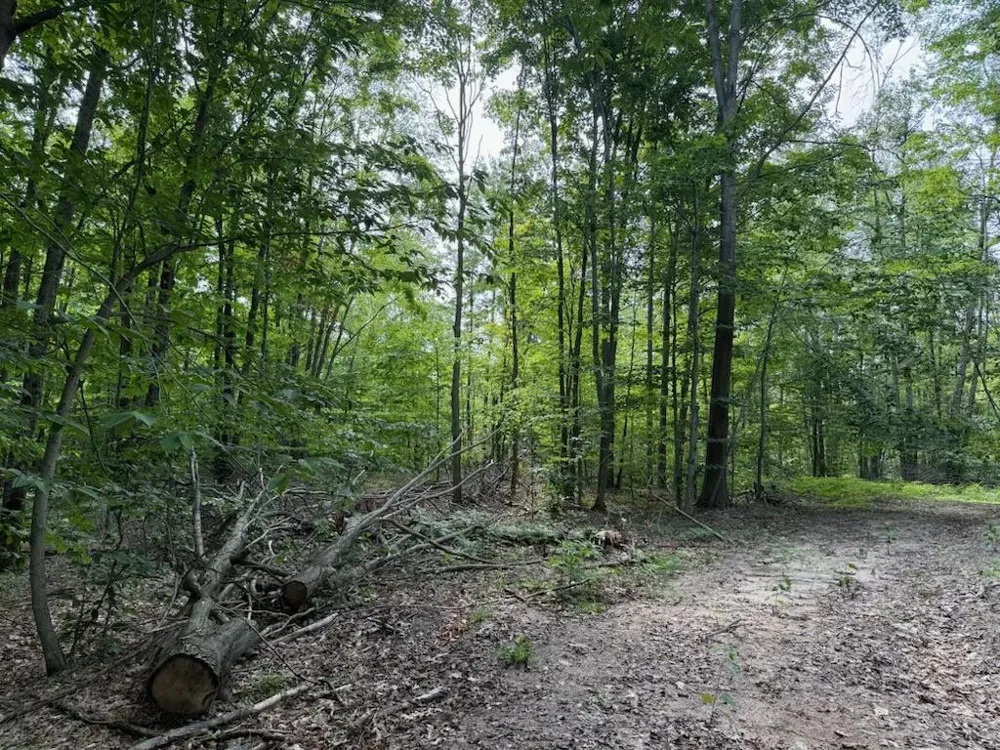 Padgett Road Boyne Falls, MI 49713