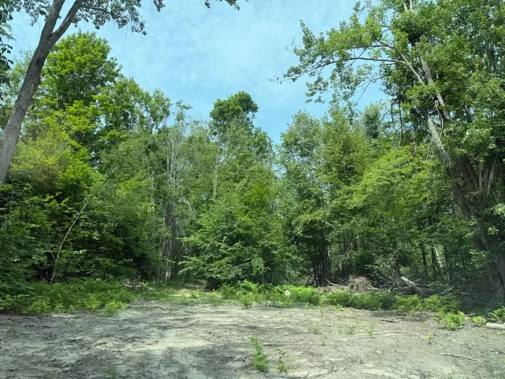 Padgett Road Boyne Falls, MI 49713